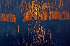 发光的海 | Sandra Bartocha - 风光摄影 - CNU视觉联盟