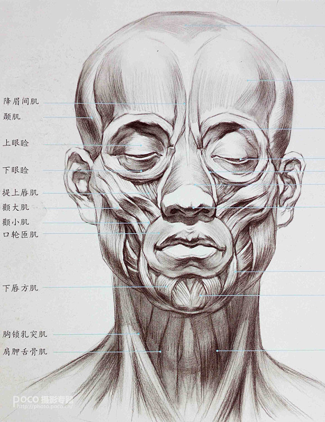 人像后期进阶：加强脸部结构打造立体感【附...