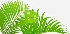 叶片矢量图免抠素材_新图网 https://ixintu.com AI 卡通 可爱 叶子 叶片 手绘 植物 绿色 矢量图