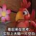 探探猫表情包：我皮这一下真的是很开心呐~07
