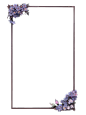 边框，紫色花朵，简约，方框