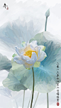冬（意境荷花）