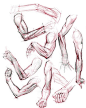 #绘画参考#一些有关人体结构部分练习，让我们从基础开始吧~╭(′▽`)╯（source：O网页链接）
