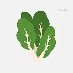 手绘卡通青菜蔬菜手绘图片大小2000x2000px 图片尺寸83.63 KB 来自PNG搜索网 pngss.com 免费免扣png素材下载！餐饮#插画#卡通蔬菜#美食#美食卡通#青菜#食物卡通#食物图案#手绘#装饰图案#