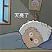 处cp送土鸡蛋