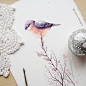 Bird's Song : My Wwatercolour's illustrations of birds