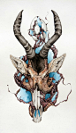Lauren Marx的手绘动物插画作品