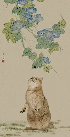 圆滚滚的古风小猫咪 - 小红书