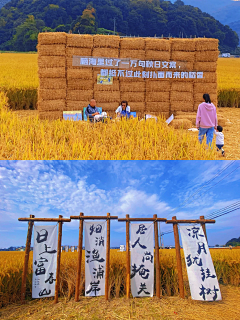 黑择明R采集到文旅 乡村