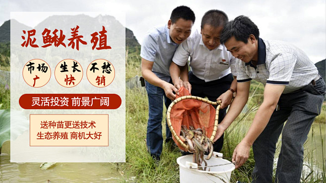 泥鳅养殖