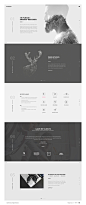 Furion - Creative PSD Template