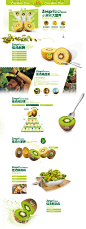 :::ZESPRI®佳沛新西兰奇异果
