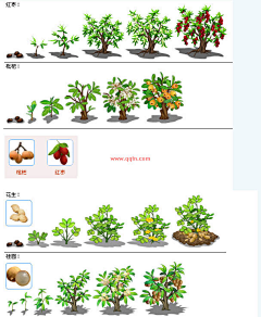 红烧黄焖白斩鸡采集到其他