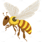 扁平套系-动物-蜜蜂