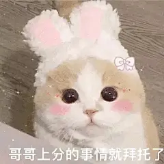 表情包| 来新姐妹了！！！