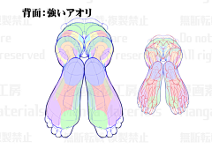 Solitarius采集到人体 形体结构