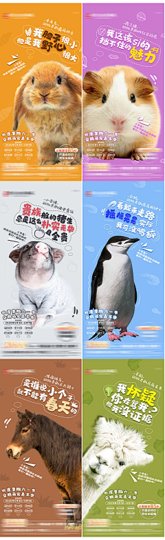 🥨喜艳🥨采集到海报