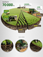 Agricultural infographics by Anton Egorov, via Behance