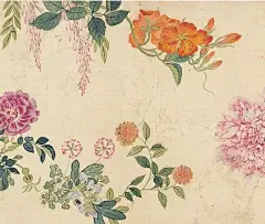 中国书画诗词院的照片 - 微相册“  百花图卷 … ”丨邹一桂 · 绘 ​ ​​​​
