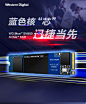 WD/西部数据西数蓝盘SN550 1TB M.2 NVMe 1T PCIe固态SSD硬盘m2-淘宝网