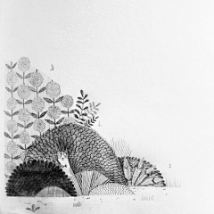 插画研究所采集到Alex T.Smith