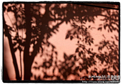 Ruirui25采集到北京皇家红墙之影视觉