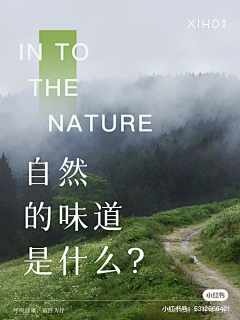 榴莲味薯片采集到长图