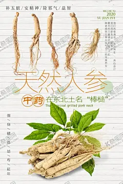 中医药材人参海报 【酷图网】人参,人参挂画,人参文化,人参海报,人参广告,野生人参,山参,野生山参,长白山人参,土人参,人参画册,正宗人参,野山参,中药人参,野人参,人参花,高丽野人参,人参展板,人参挂图,长白山参,东北人参,东北野山参,中药,千年人参,人参功效,人参DM单,人参传单,人参宣传单,中医文化