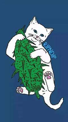潮流壁纸——RIPNDIP 中指贱猫 -THEPINKHOUSE-大不六文章网(wtoutiao.com)