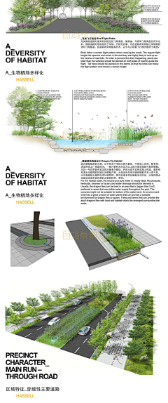 Feel-ways采集到植物造景