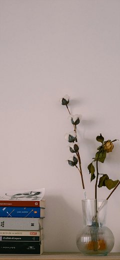 手机壁纸 背景图