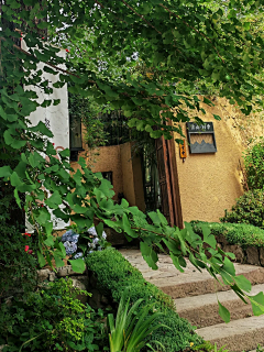 向阳而行-归野采集到B---私家花园