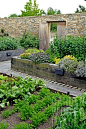 Contemporary walled kitchen garden