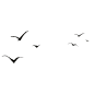 img20.gif (2000×2000)