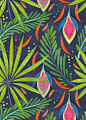 Rain Forest : Tropical floral patterns I did a while ago following the trendy craze :)