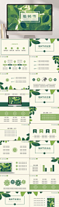 绿色简约植树节介绍节日PPT