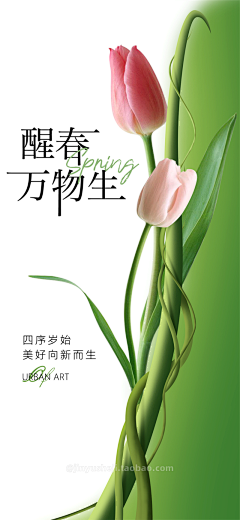 蚊香不香采集到海报