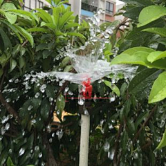 新泡泡采集到水咀