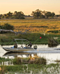 Belmond Eagle Island Lodge