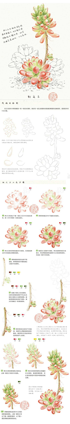 秋殇（招代理免费）采集到飞乐鸟