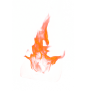 火 (35)