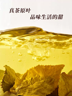 /ty春天采集到茶叶