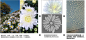 640 (5).png