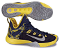 Nike Zoom HyperRev 2015