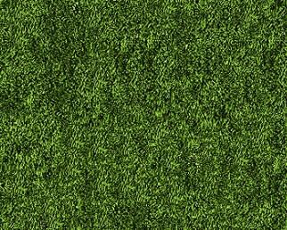 3d绿色草坪贴图草皮贴图草地贴图草地材质草地图片植草砖贴图高清草地