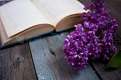 branch of lilac and opened book on a wooden tablebranch of lilac and opened book on a wooden table