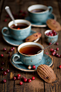 Chocolate Madeleines with Cranberries | Flickr - Photo Sharing!