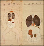 日本江户时代的人体解刨图