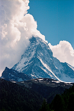 wenwenlove采集到户外背景