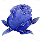 手绘蓝色妖姬节日装饰元素2
